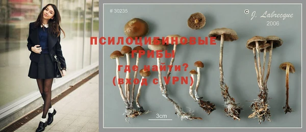 круглые Михайловск