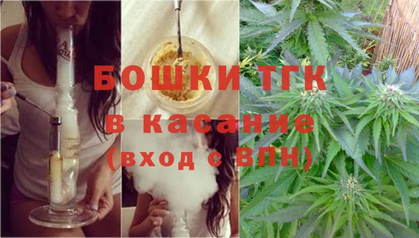 spice Дубовка