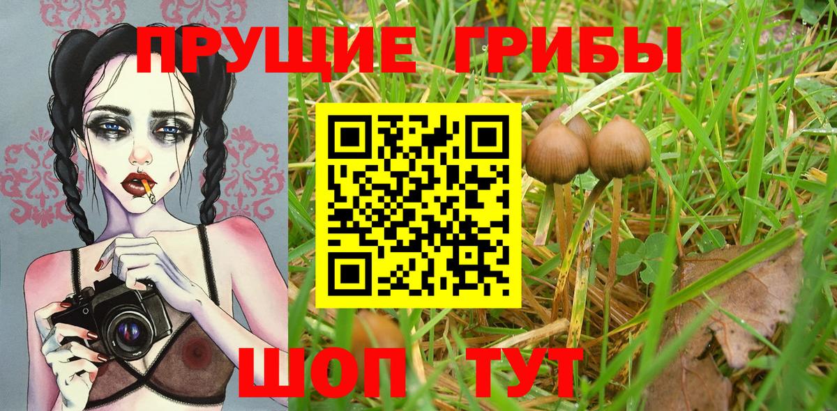 Ржев  Псилоцибиновые грибы прущие грибы  Вход с VPN  купить наркотики сайты  Галлюциногенные грибы GOLDEN TEACHER 