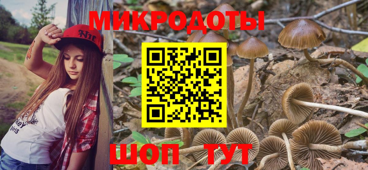 Галлюциногенные грибы Psilocybe Ржев